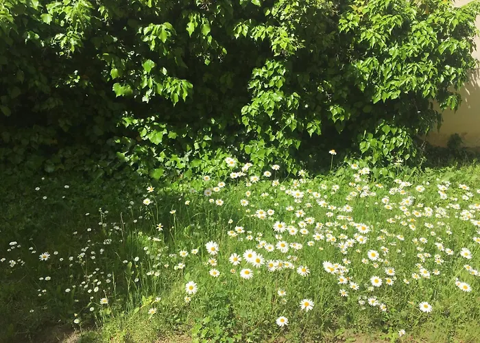 Art Deco Design Apartment, 65 Zoll Tv, Waschtrockner, Lage, Am Markt *